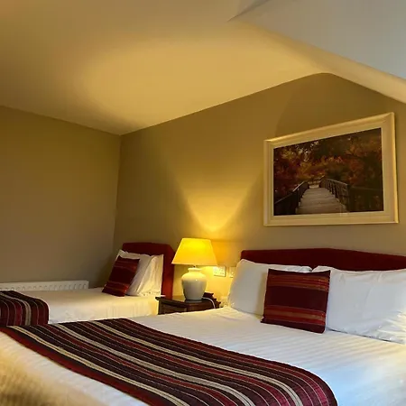 Viking House Donegal 3*